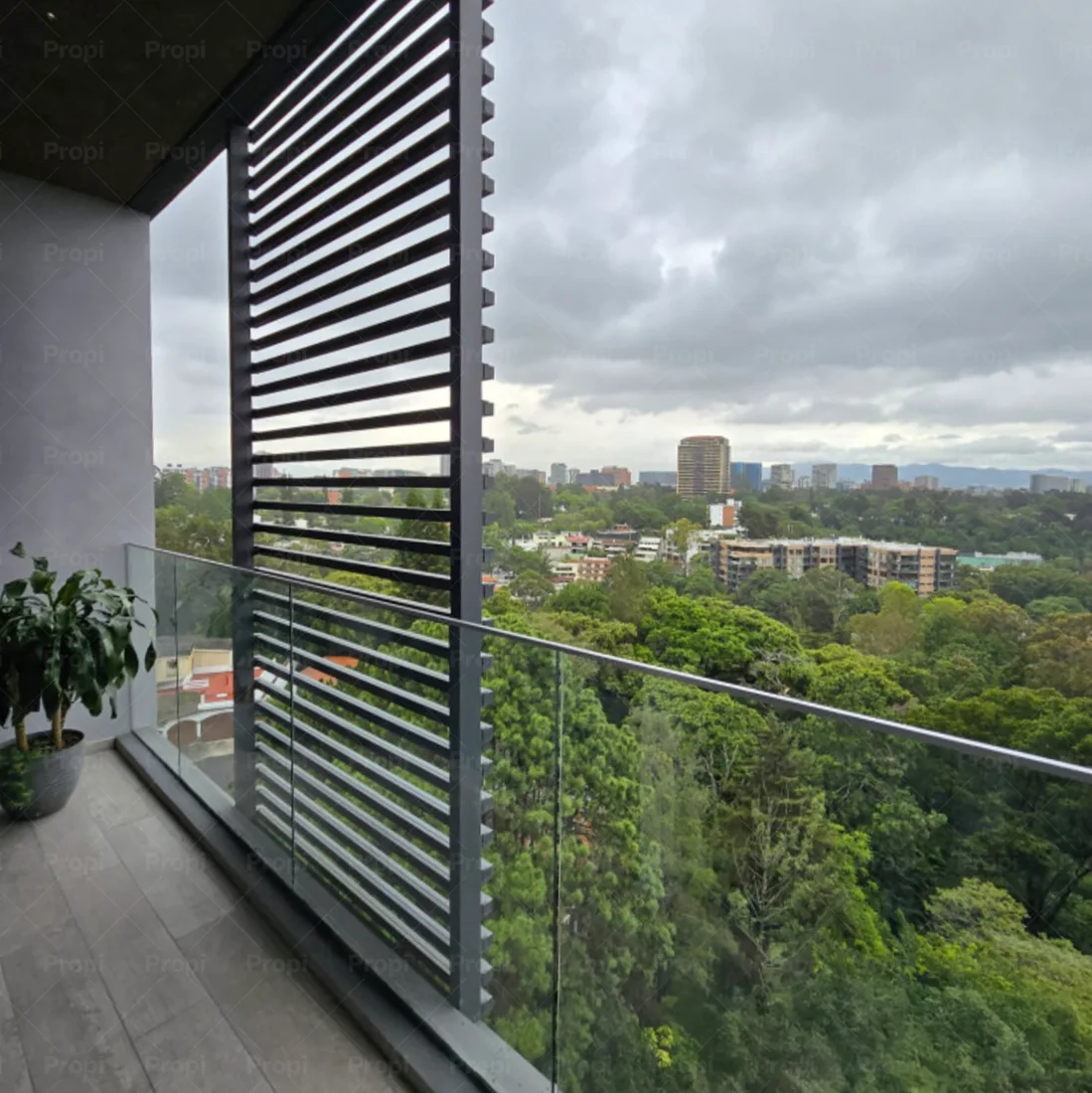 Fotografía de Triva en Zona 15, Guatemala